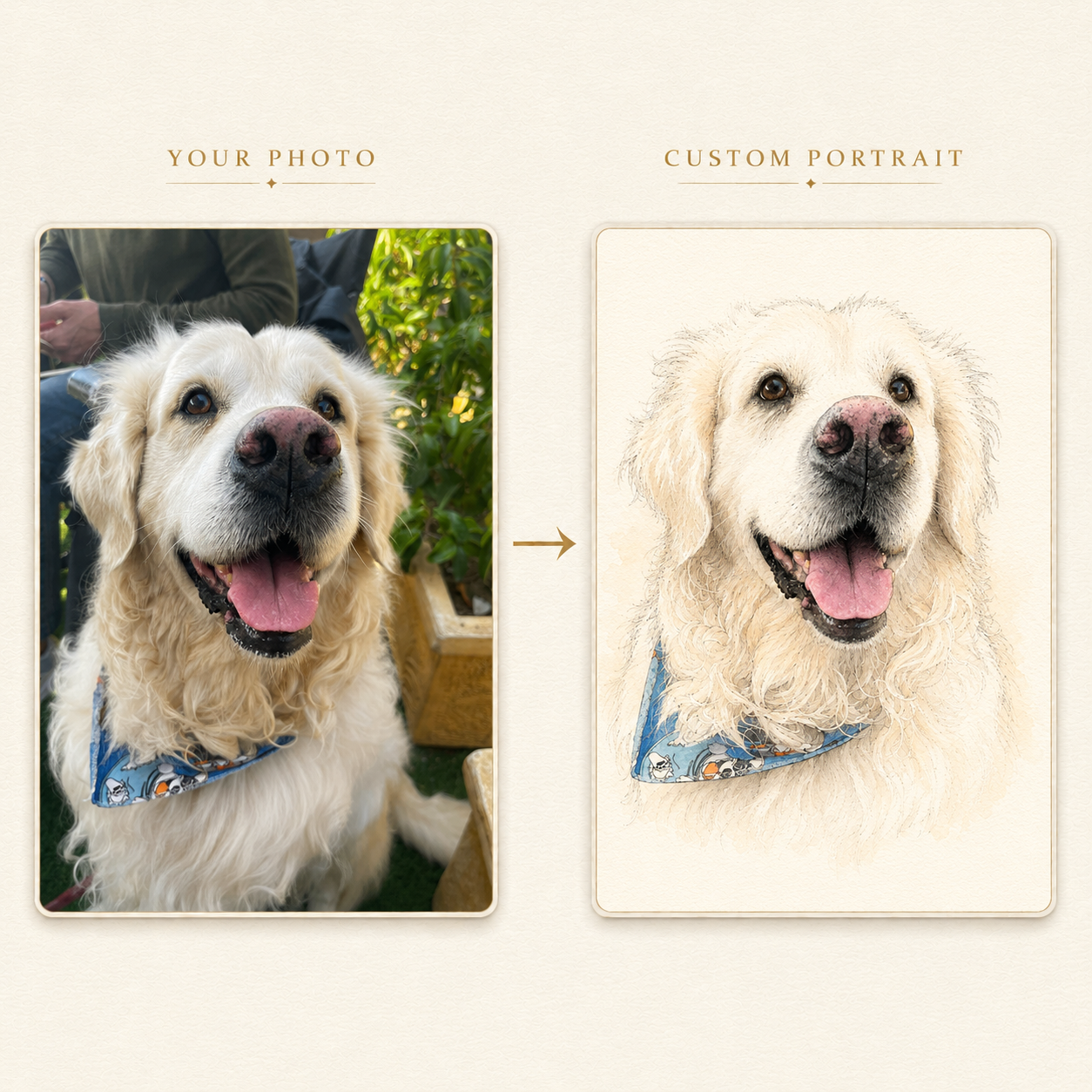 Custom Digital Pet Artwork